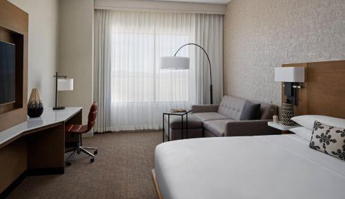 Guest room, 1 King, Alternate bed: sofa bed