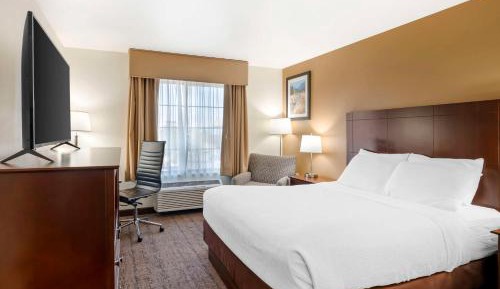 Queen Room with Roll-in Shower - Non-Smoking/Mobility Access