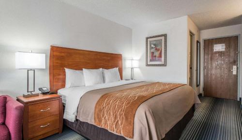 Executive King Room - Non Smoking 