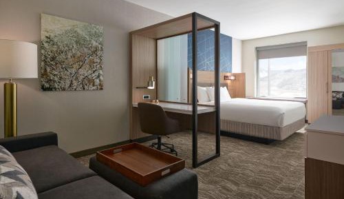 King Room with Sofa Bed and Roll-in Shower - Mobility Accessible