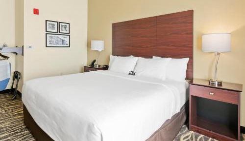 King Room with Roll-In Shower - Disability Access