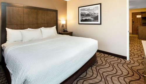 One-Bedroom Suite