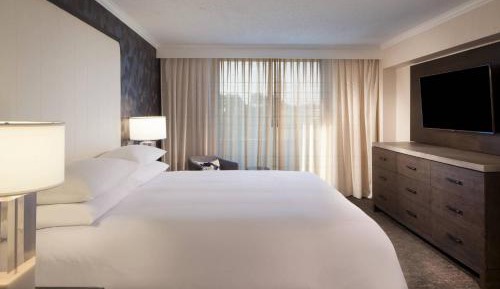 Bi-Level Suite with One King Bed and Sofa Bed