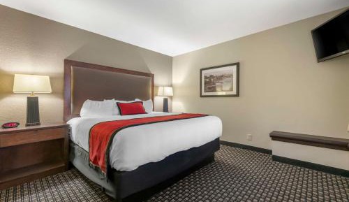 Standard King Suite with Sofa Bed - Non-Smoking