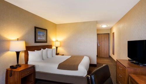 Queen Room with Walk-In Shower - Mobility Accessible/Non-Smoking