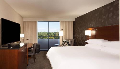 Pure Wellness 1 King Room