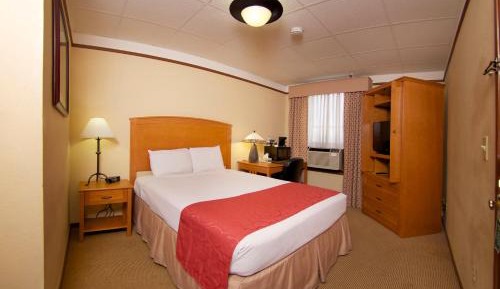 Queen Room