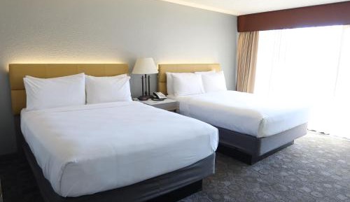 Standard Queen Room