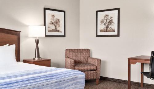 Executive King Room - Non-Smoking
