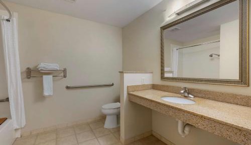 King Room with Roll-in Shower - Disability Access/Non-Smoking