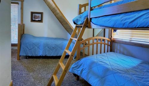 Single Bed in Mixed Dormitory Room