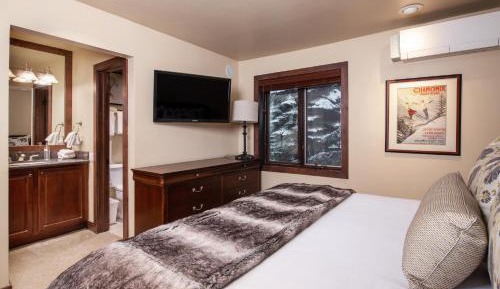 Deluxe One-Bedroom Apartment