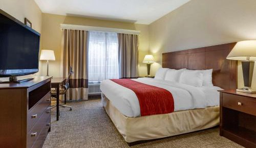 King Suite with Sofa Bed - Non-Smoking