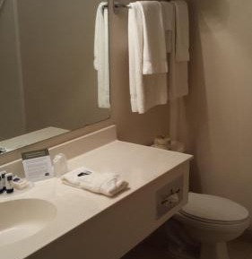 Deluxe King Suite - Non-Smoking