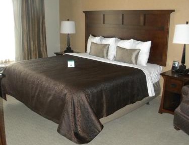 Standard King Room