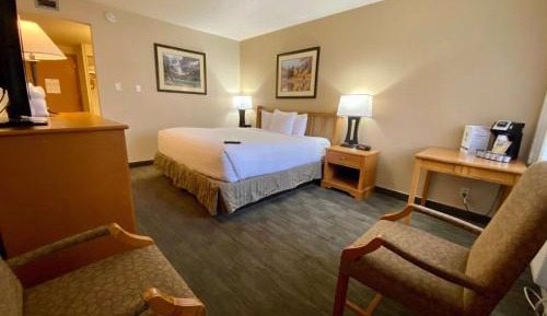King Room - Pet Friendly