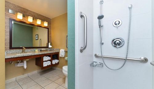 Standard King Room with Roll-In Shower - Mobility Access
