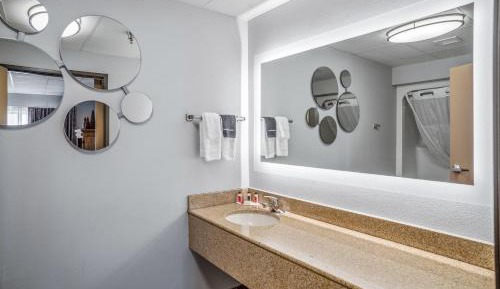 One-Bedroom Deluxe King Suite - Non-SmokingÂ 
