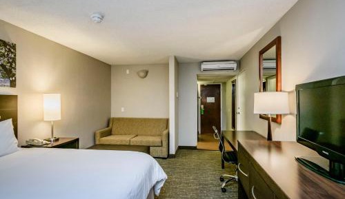King Room with Sofa Bed
