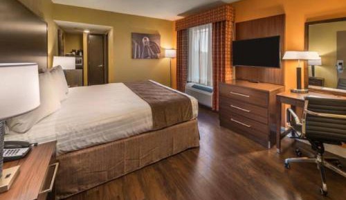 King Room with Roll-in Shower - Disability Access/Non-Smoking