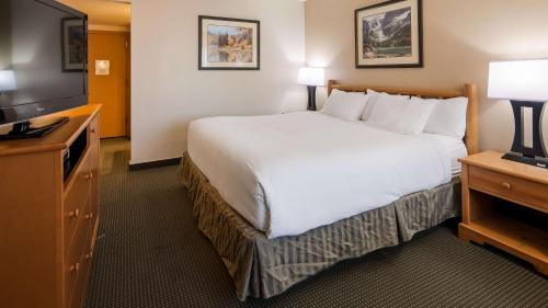 King Room with Roll-in Shower - Disability Access/Non-Smoking