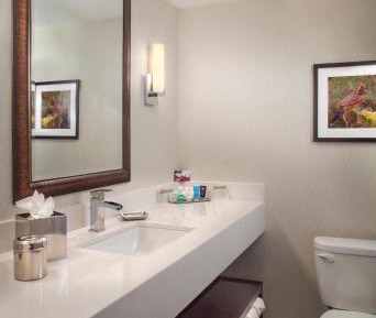 Standard Queen Room with Communications Accessible Roll-In Shower