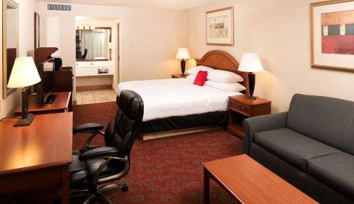 King Room with Sofa Bed - Non-Smoking