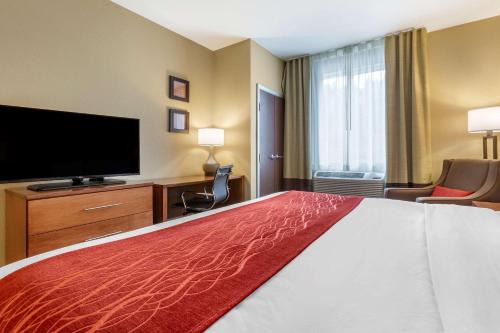 Comfort Inn Mt Rushmore 